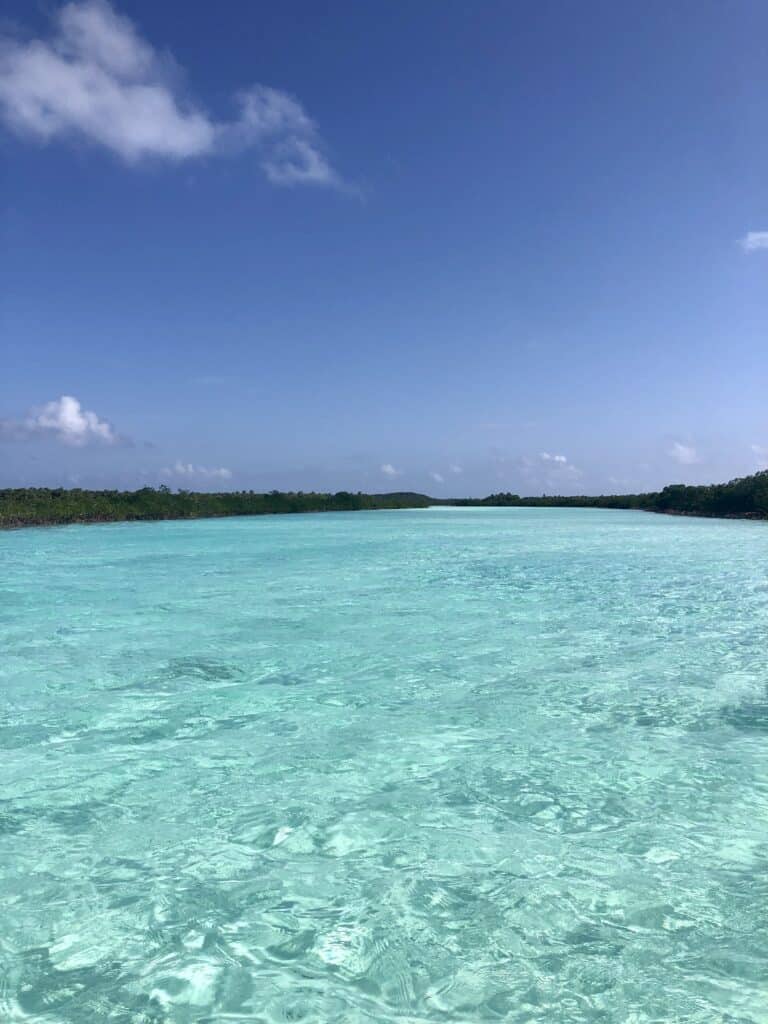 A view of the mangrove river on Shroud Cay showing the crystal clear water with a sandy bottom on a sunny day.