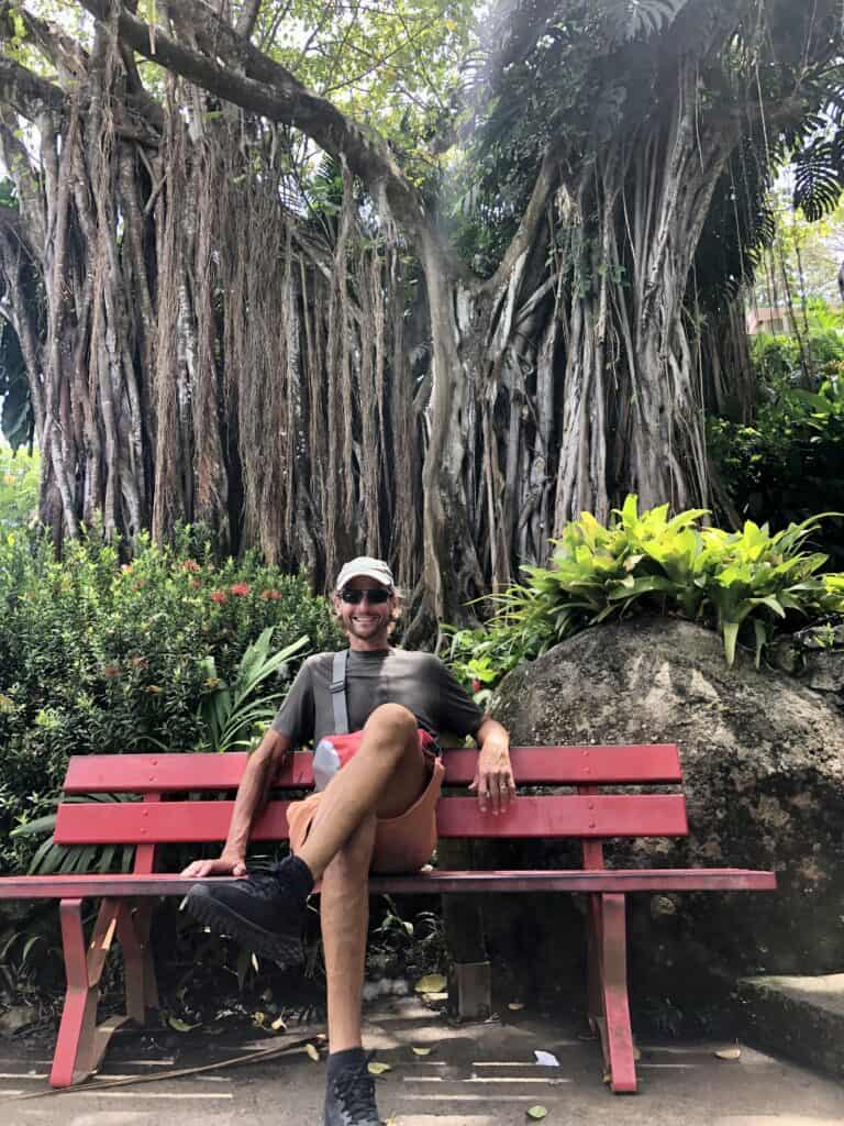 Scott hanging out on a red bench in front of a large tree at Jardin Botanique