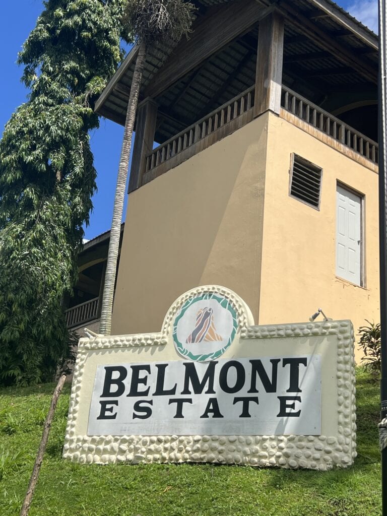 The Belmont Estate sign is sitting on the grass in front of an orange building. The sign is light yellow with yellow painted rocks around it.