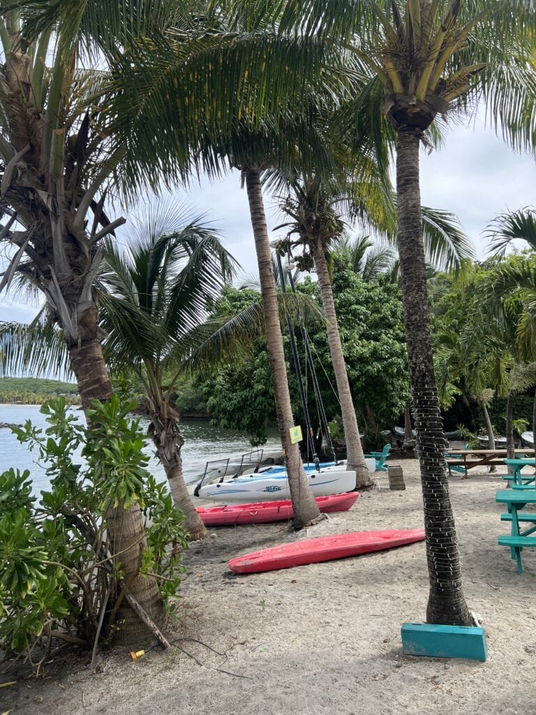 Red kayaks and Hobie Cats sit on the beach at Island Fever between the palm trees and teal picnic tables. This is a fun restaurant great for kids.